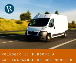 Noleggio di Furgoni a Ballynabanoge Bridge (Munster)