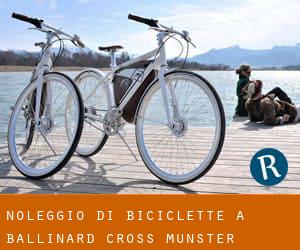 Noleggio di Biciclette a Ballinard Cross (Munster)