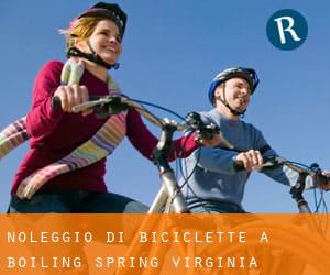 Noleggio di Biciclette a Boiling Spring (Virginia)