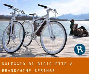 Noleggio di Biciclette a Brandywine Springs