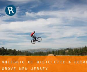 Noleggio di Biciclette a Cedar Grove (New Jersey)