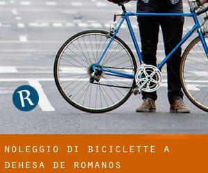 Noleggio di Biciclette a Dehesa de Romanos