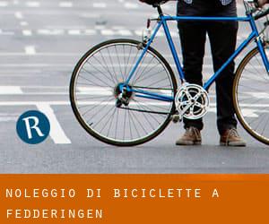 Noleggio di Biciclette a Fedderingen