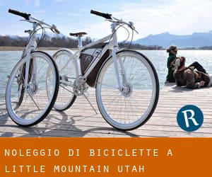 Noleggio di Biciclette a Little Mountain (Utah)