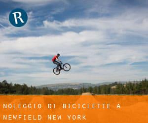 Noleggio di Biciclette a Newfield (New York)