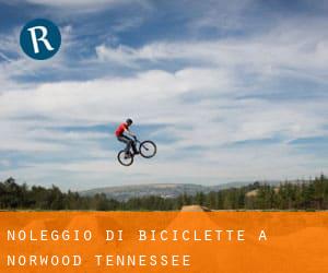 Noleggio di Biciclette a Norwood (Tennessee)