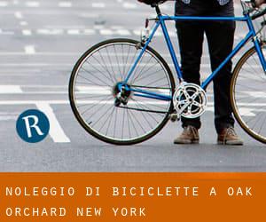 Noleggio di Biciclette a Oak Orchard (New York)