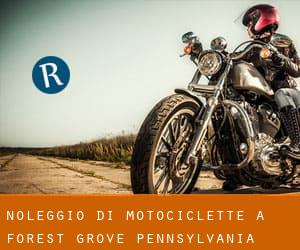 Noleggio di Motociclette a Forest Grove (Pennsylvania)