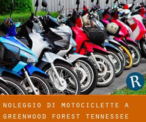 Noleggio di Motociclette a Greenwood Forest (Tennessee)